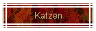 Katzen